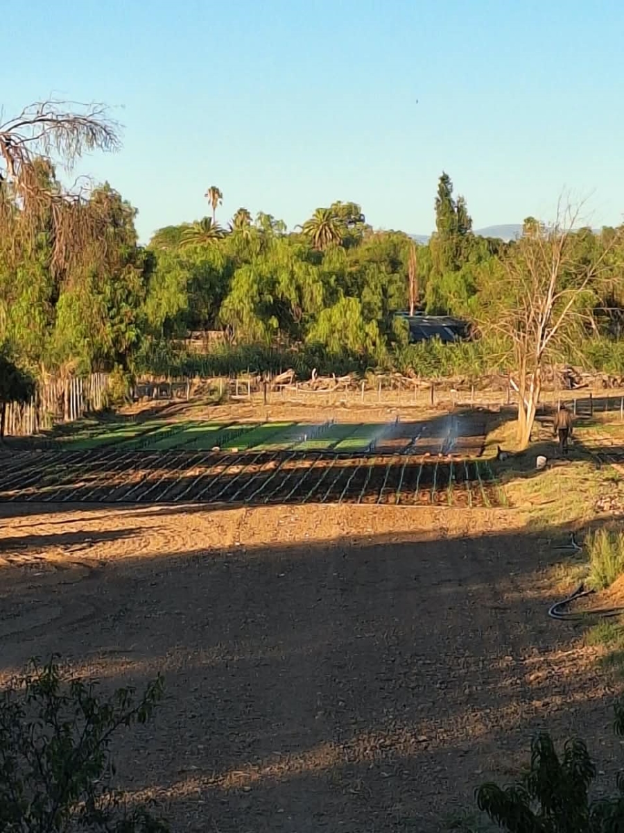 5 Bedroom Property for Sale in Oudtshoorn South Western Cape